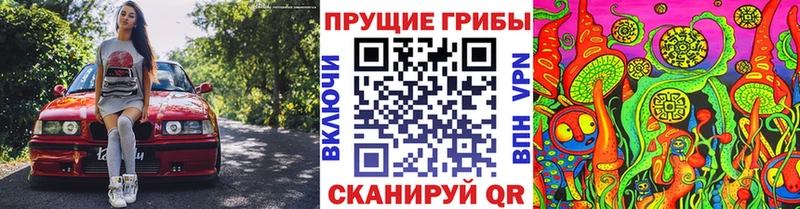 наркошоп Брянск Псилоцибиновые грибы мухоморы